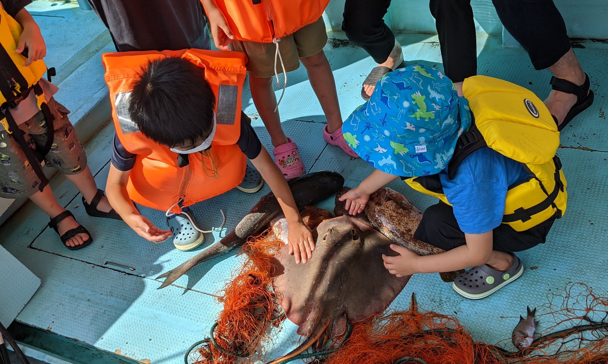 体験して学ぶ！地元（瀬戸内）の魚食文化